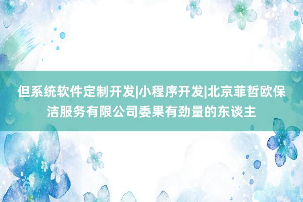 但系统软件定制开发|小程序开发|北京菲哲欧保洁服务有限公司委果有劲量的东谈主