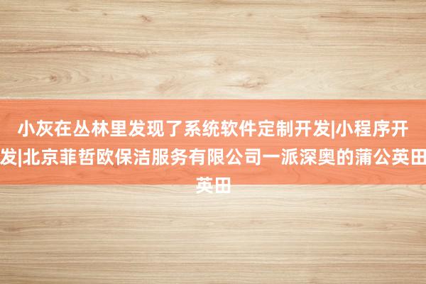 小灰在丛林里发现了系统软件定制开发|小程序开发|北京菲哲欧保洁服务有限公司一派深奥的蒲公英田